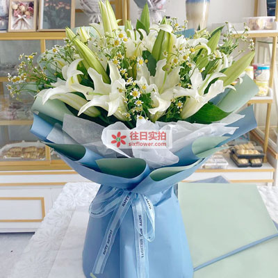 太原8支白色多头百合洋甘菊，互倾的思念