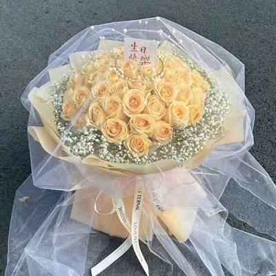 太原52朵香槟玫瑰满天星，你就是我的全部