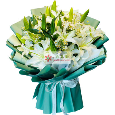 太原8支白色多头百合洋甘菊，如潮的思念