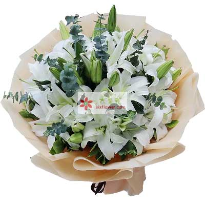 太原9支白色多头百合，祝福你幸福